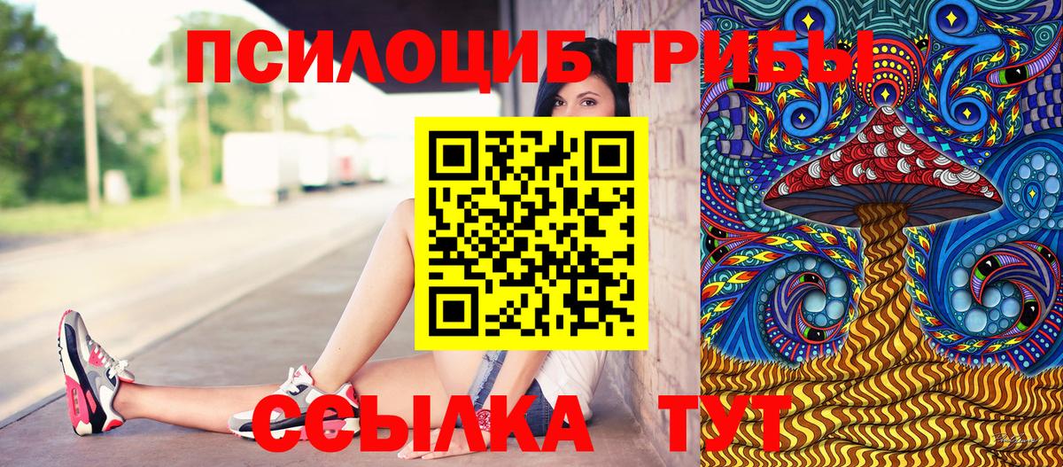 Псилоцибиновые грибы Psilocybe Приморско-Ахтарск