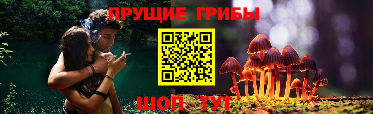 что такое наркотик  Вход с VPN  Приморско-Ахтарск  Псилоцибиновые грибы Psilocybe  Галлюциногенные грибы Cubensis 